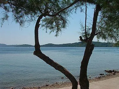 Hodak Vodice
